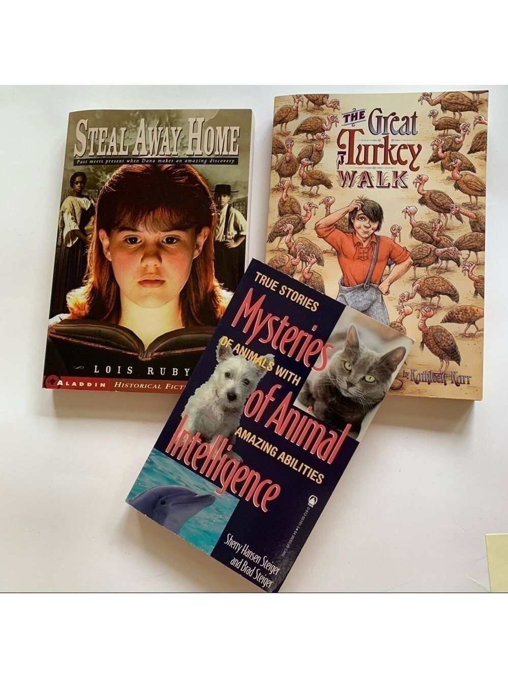 SCHOLASTIC three middle school chapter books new
